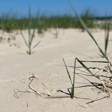 Pomaranczowy - Kawalerka W Srodmiesciu