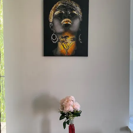 Daire Pomaranczowy - Kawalerka W Srodmiesciu *